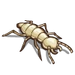 Termite-icon