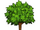 Apple Tree Big-icon.png