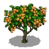 Peach Tree Fruit-icon
