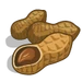 Roasted Peanuts-icon