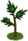 Pine Seedling-icon