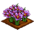 Saffron-icon