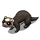 Black Ferret