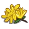 Yellow Flower-icon