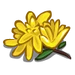 Yellow Flower-icon