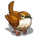 Wren-icon