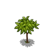 Apricot Tree Sapling-icon