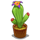 Flowering Cactus-icon