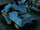 Torero