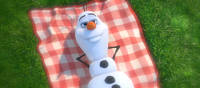 Olaf in summer