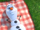 Olaf in summer.png
