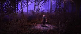 Lost in the Woods