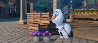 Olaf and flowers