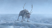 Sven on ice