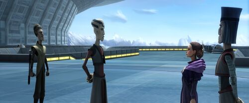 Mak Plain Padmé Amidala Nix Card