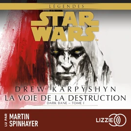 Dark Bane : La Voie de la destruction (livre audio)