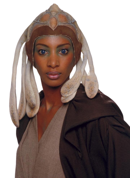 Adi Gallia