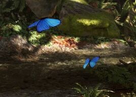 Papillon bleu d&#39;Endor