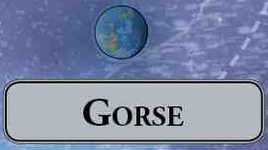 Gorse