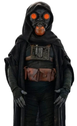 Espèce non-identifiée (Deesh Crozli)