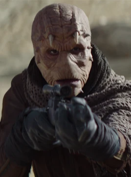 Pillard Kajain'sa'Nikto non-identifié