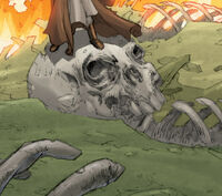 Crâne d'un Gargantelle, une espèce exterminée sur ordre des Hutts.