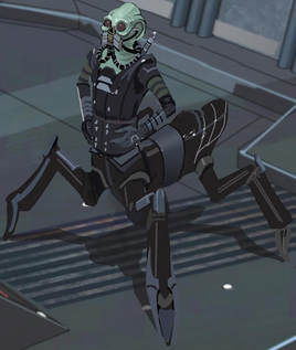 Sugi (espèce)