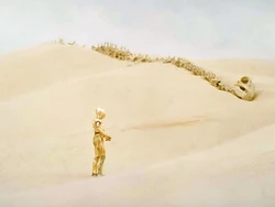 C-3PO découvre le squelette d'un grand dragon Krayt décédé.