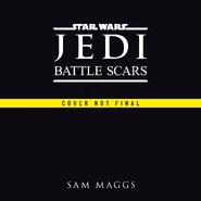 Couverture provisoire