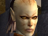 Cathar (espèce)