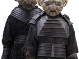 Wrosidien
