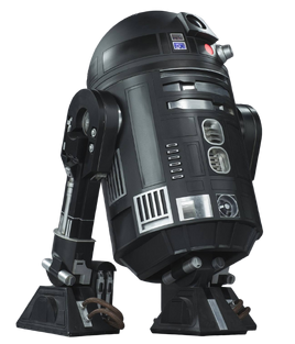 C2-B5