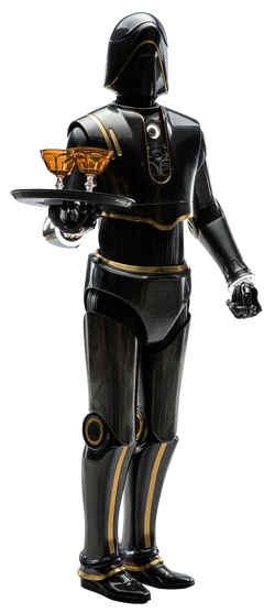 Droïde de service SE8