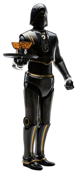 Droïde de service SE8