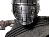 Vicrul