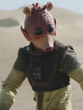 Prisonnier Rodien non-identifié