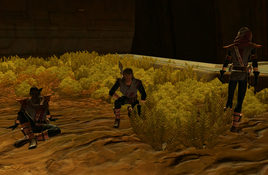 Gang de Fa&#39;athra