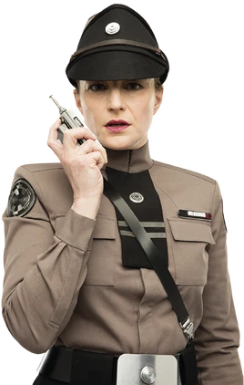 Officier Supérieur de Sécurité des Transports