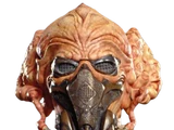 Plo Koon