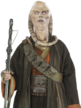 Beezer Fortuna