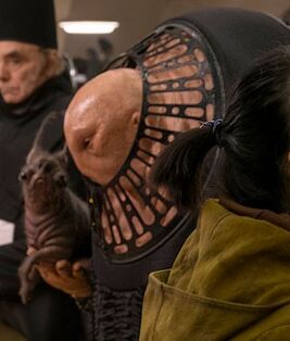 Espèce non-identifiée (Gatha Elbaphay)