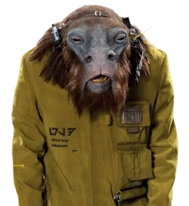 Vober Dand