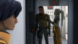 Kanan and Hera rebellion talk