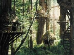 Ewokvillage