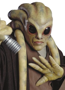 Kit Fisto