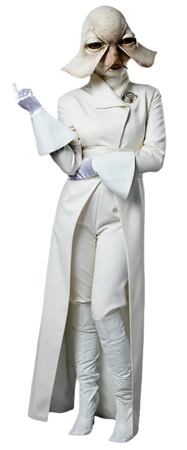 Espèce non-identifiée (Grayla Stindy)