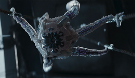 Créature à tentacules non-identifiée (Trask)