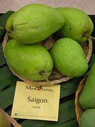 Saigon Mangos