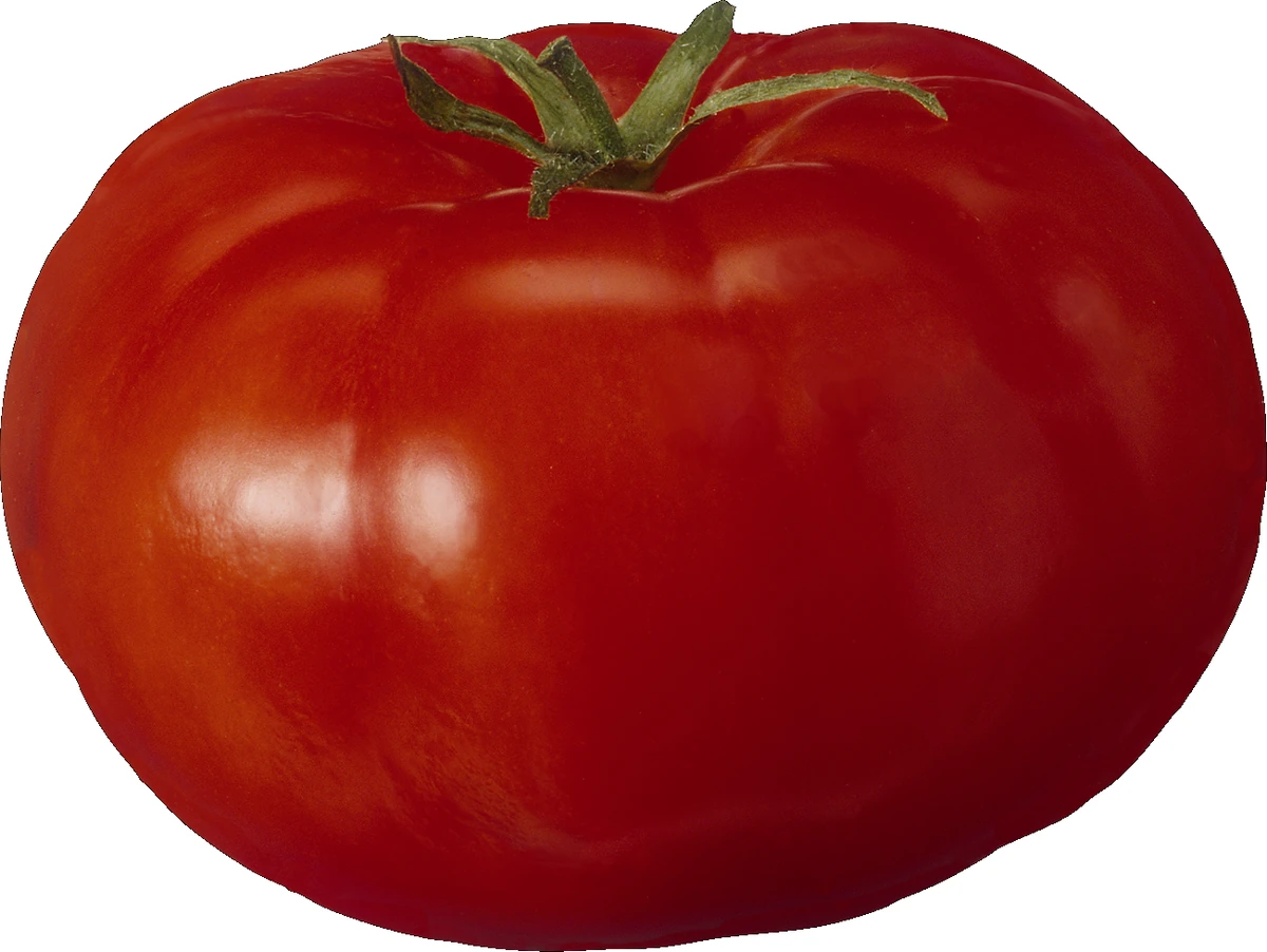 Tomato Fruit Wiki Fandom