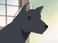 干支の干支（2001アニメ）